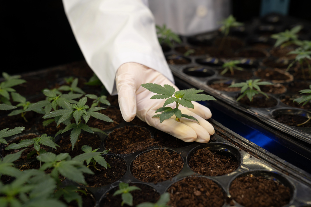 Every Cannabis Grow Facility Needs